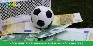 Cách Tính Tài Xỉu Bóng Đá Là Gì Trong Các Bảng Tỷ Lệ