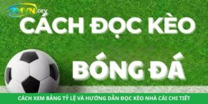 Cách Xem Bảng Tỷ Lệ Và Hướng Dẫn Đọc Kèo Nhà Cái Chi Tiết