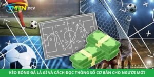 Kèo Bóng Đá Là Gì Và Cách Đọc Thông Số Cơ Bản Cho Người Mới